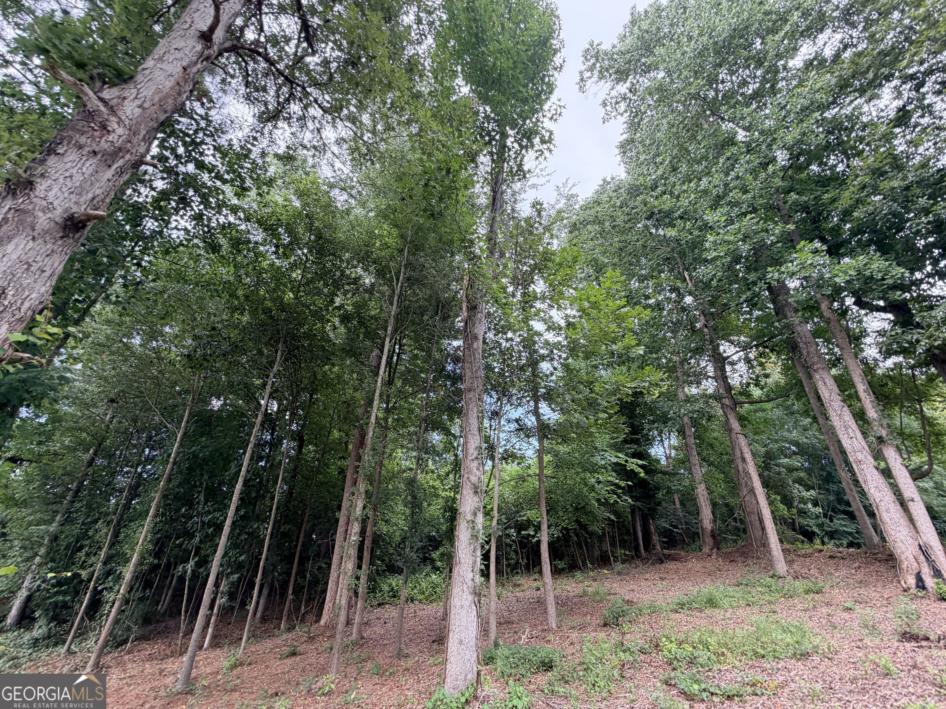161 Mount Bethel Road