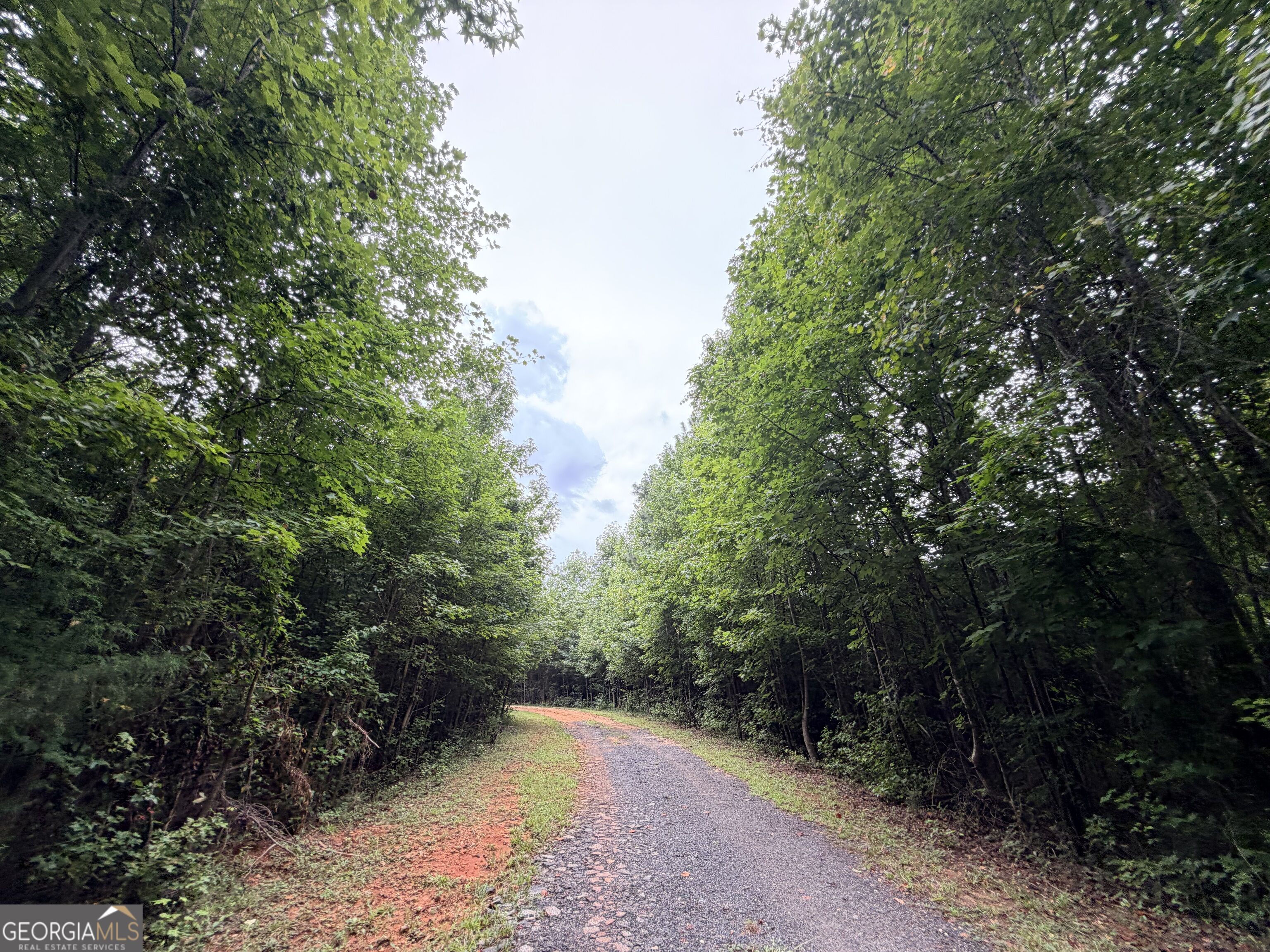 161 Mount Bethel Road