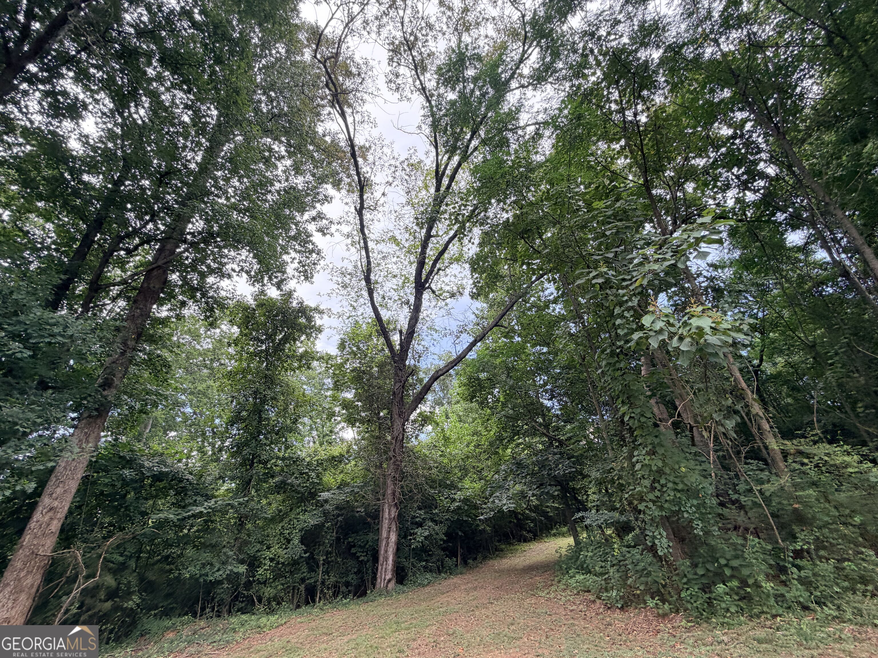 161 Mount Bethel Road