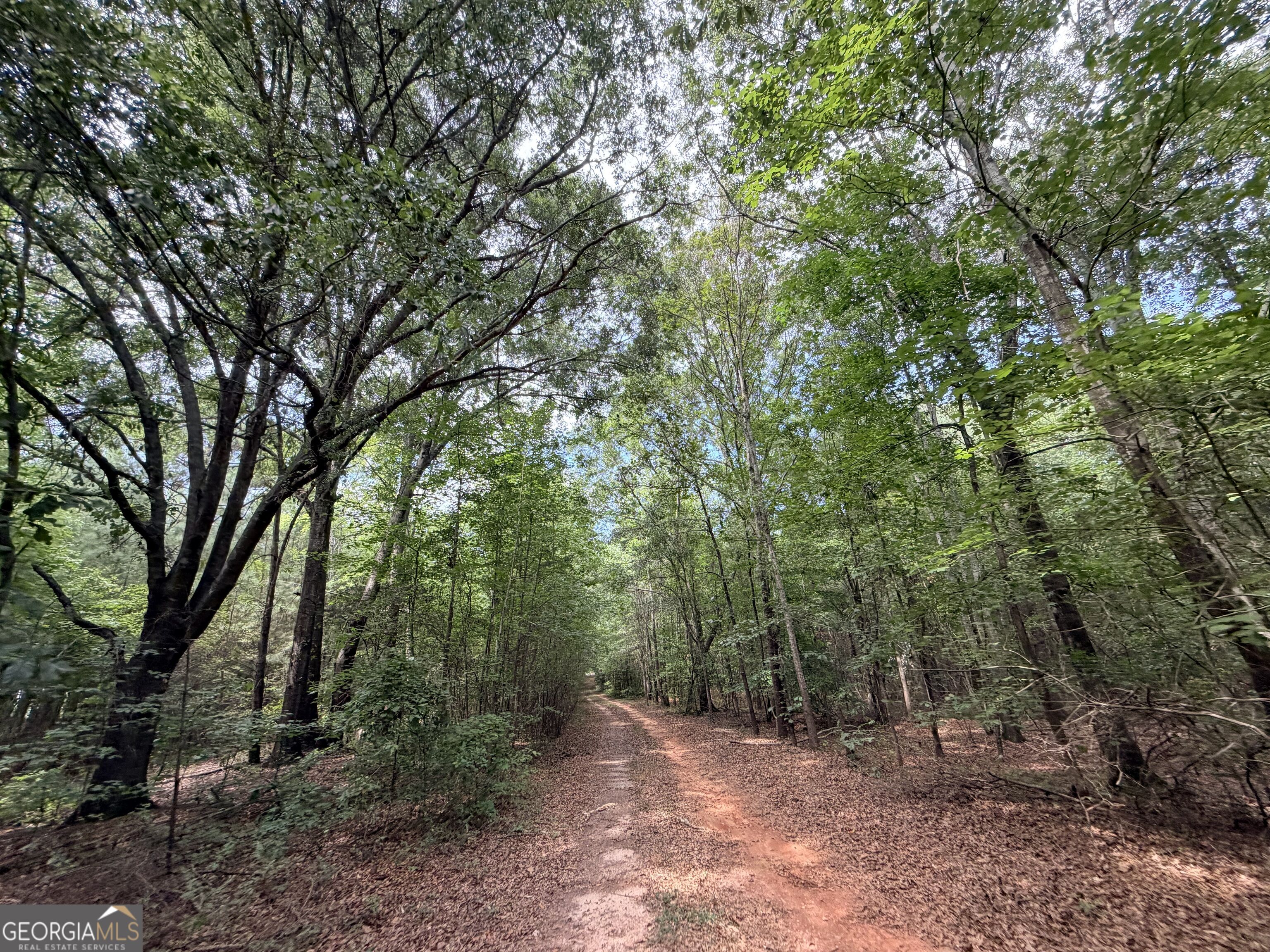 161 Mount Bethel Road