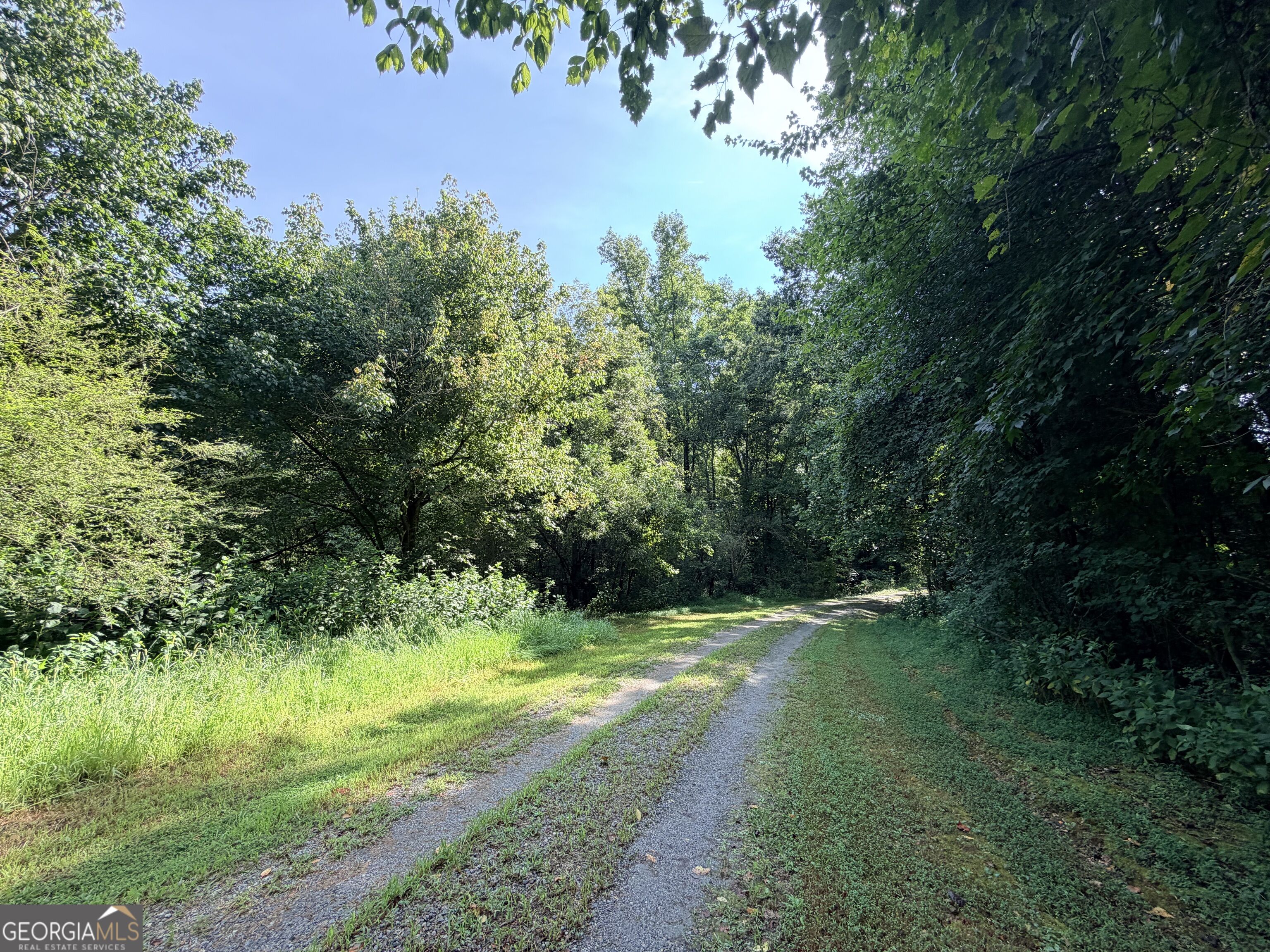 161 Mount Bethel Road