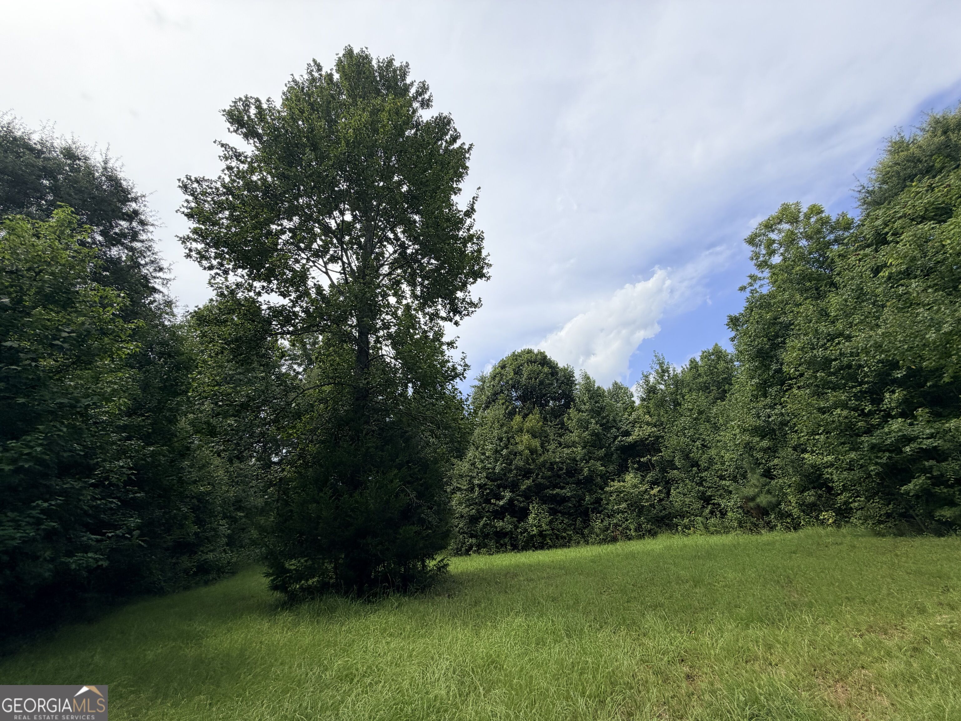 161 Mount Bethel Road
