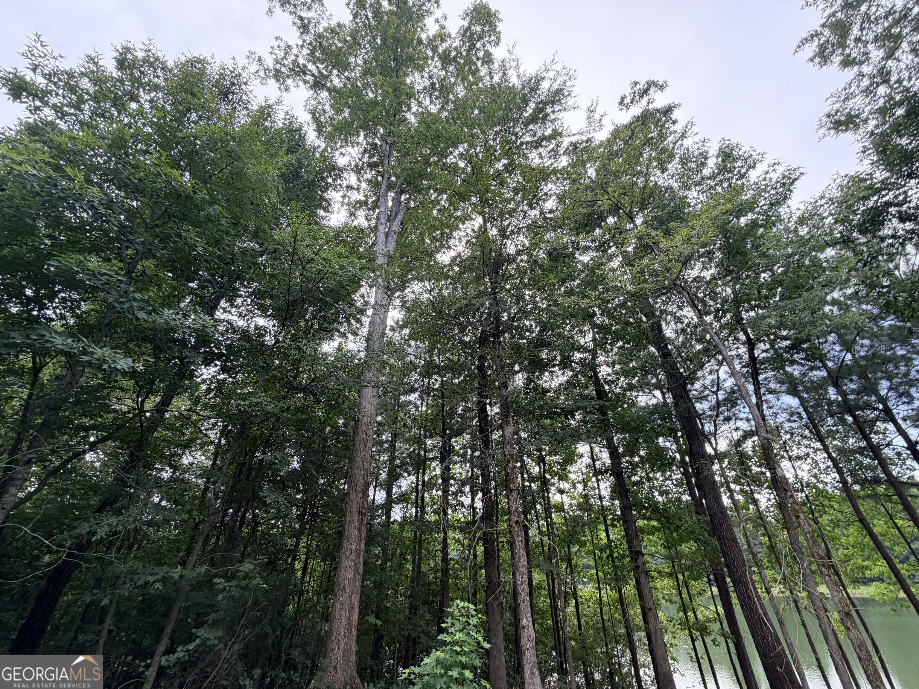 161 Mount Bethel Road