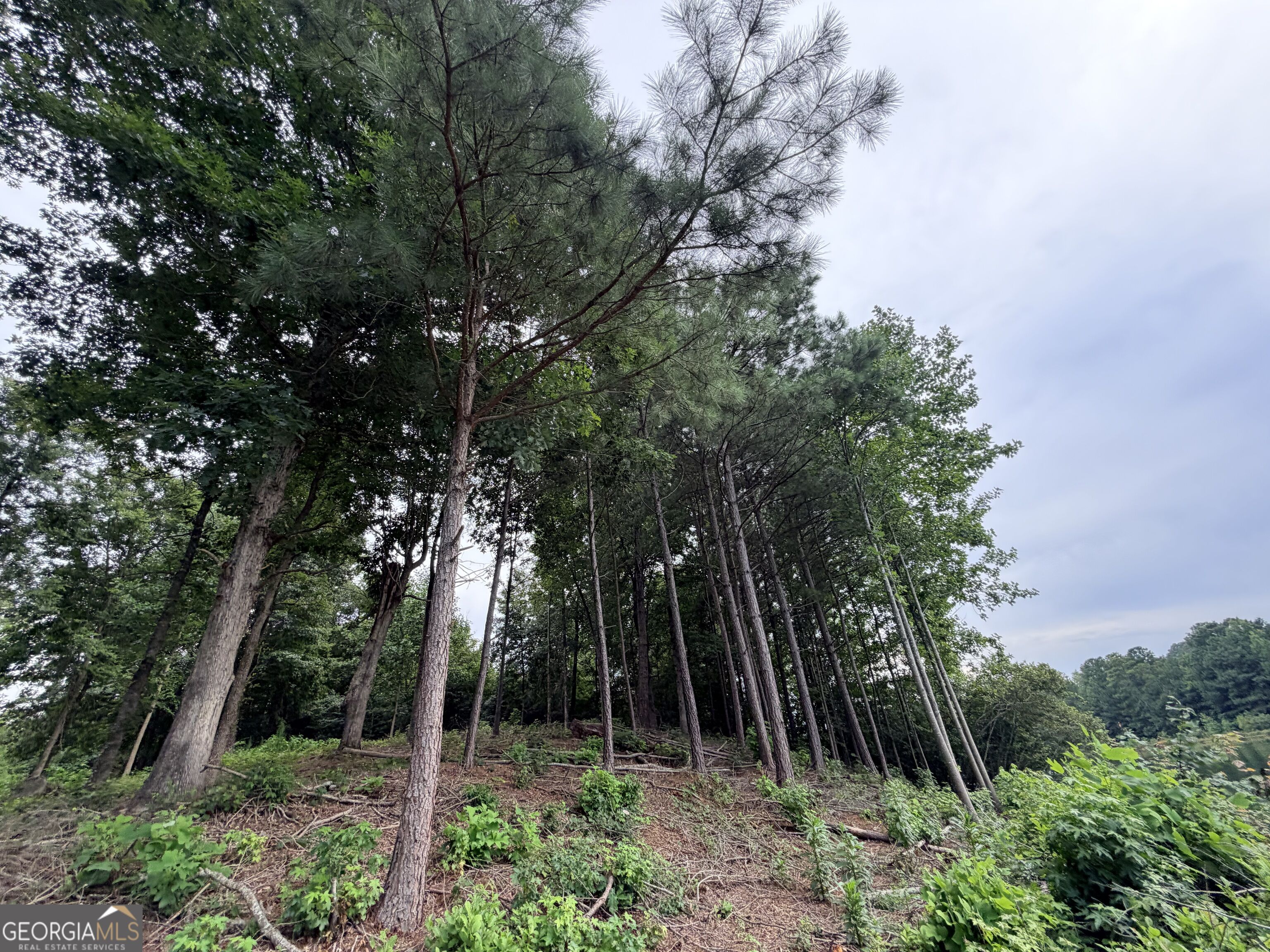 161 Mount Bethel Road