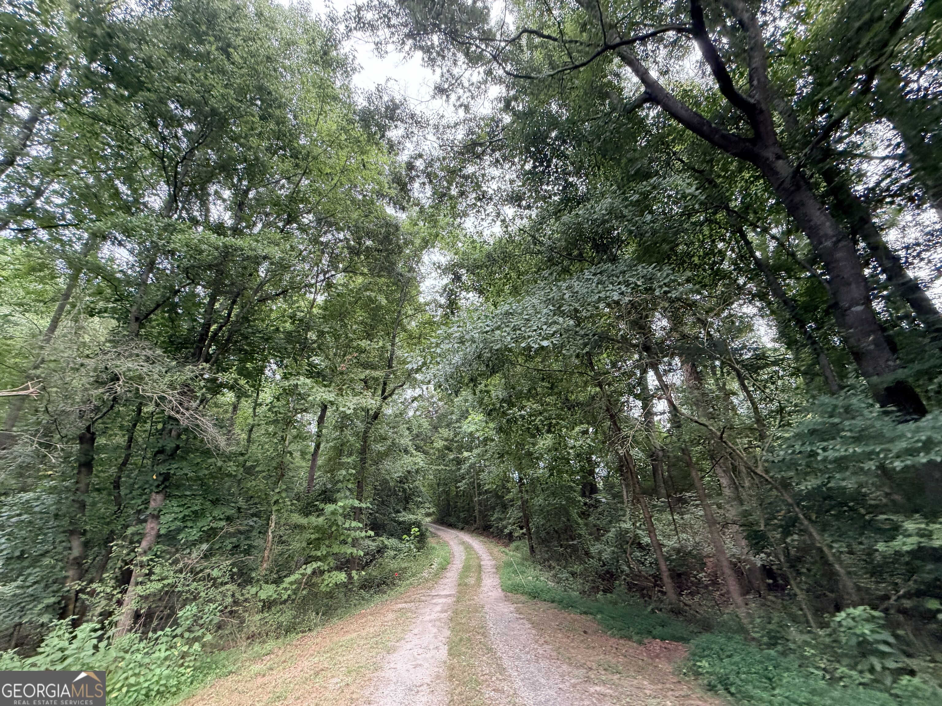 161 Mount Bethel Road