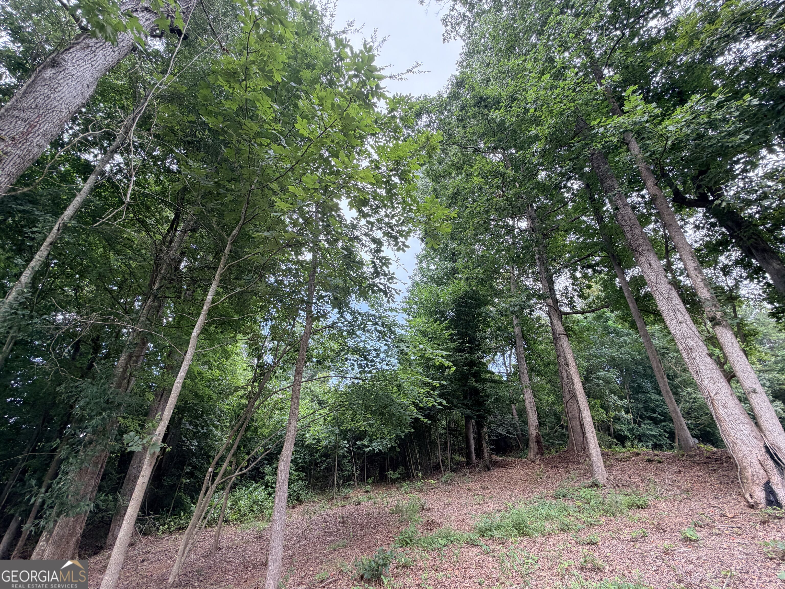 161 Mount Bethel Road