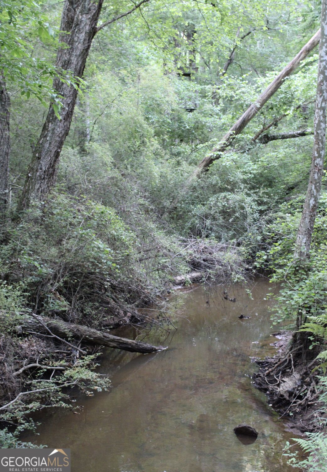1135 Mount Moriah Road