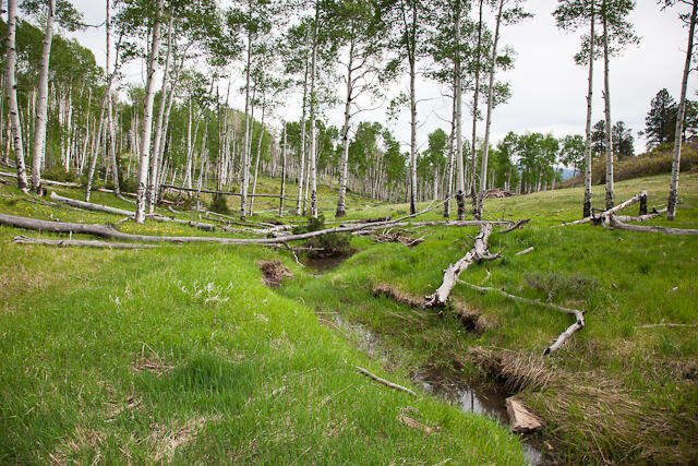 1268 Brown Ranch Road