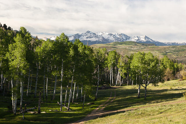 1268 Brown Ranch Road