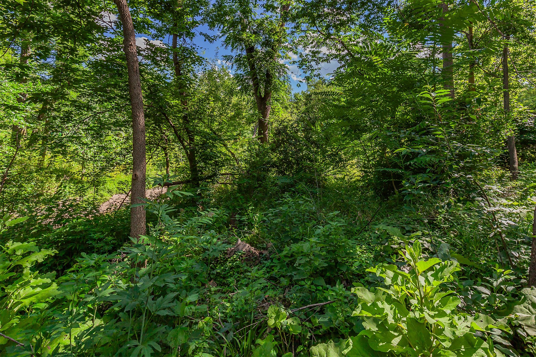 7052 Oak Brook Drive