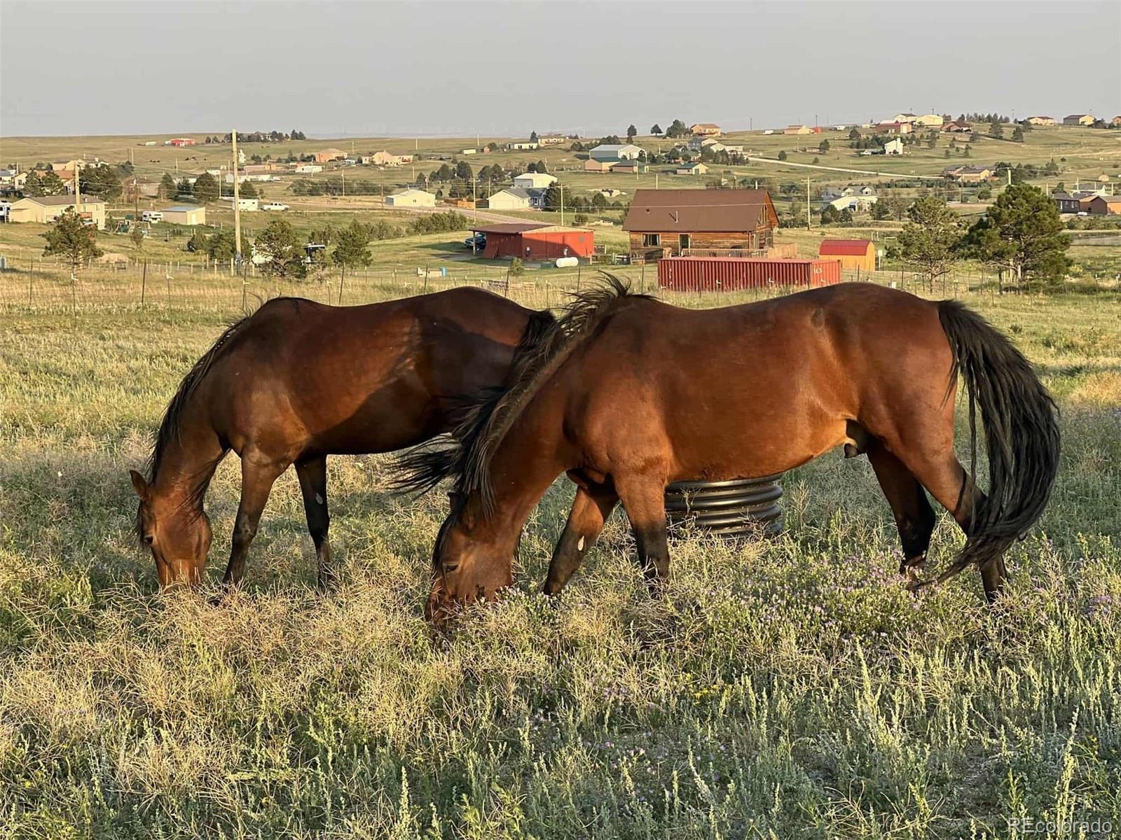 12835 Forest Green Drive