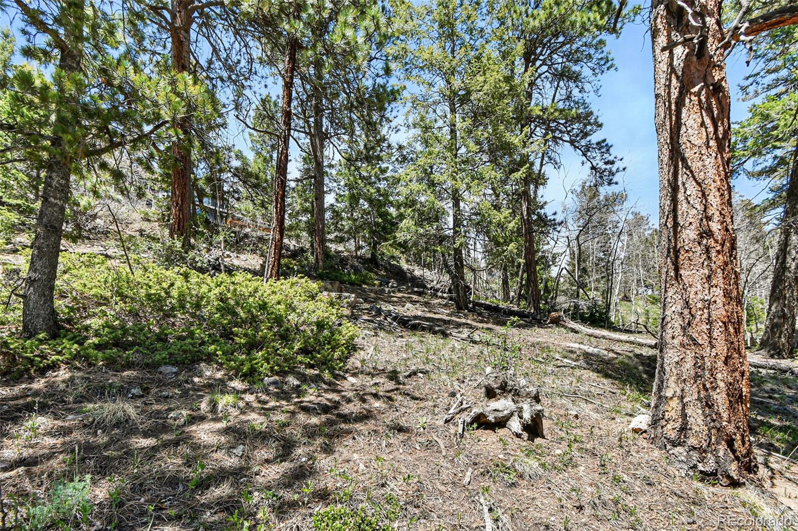 11618 Nichols Way
