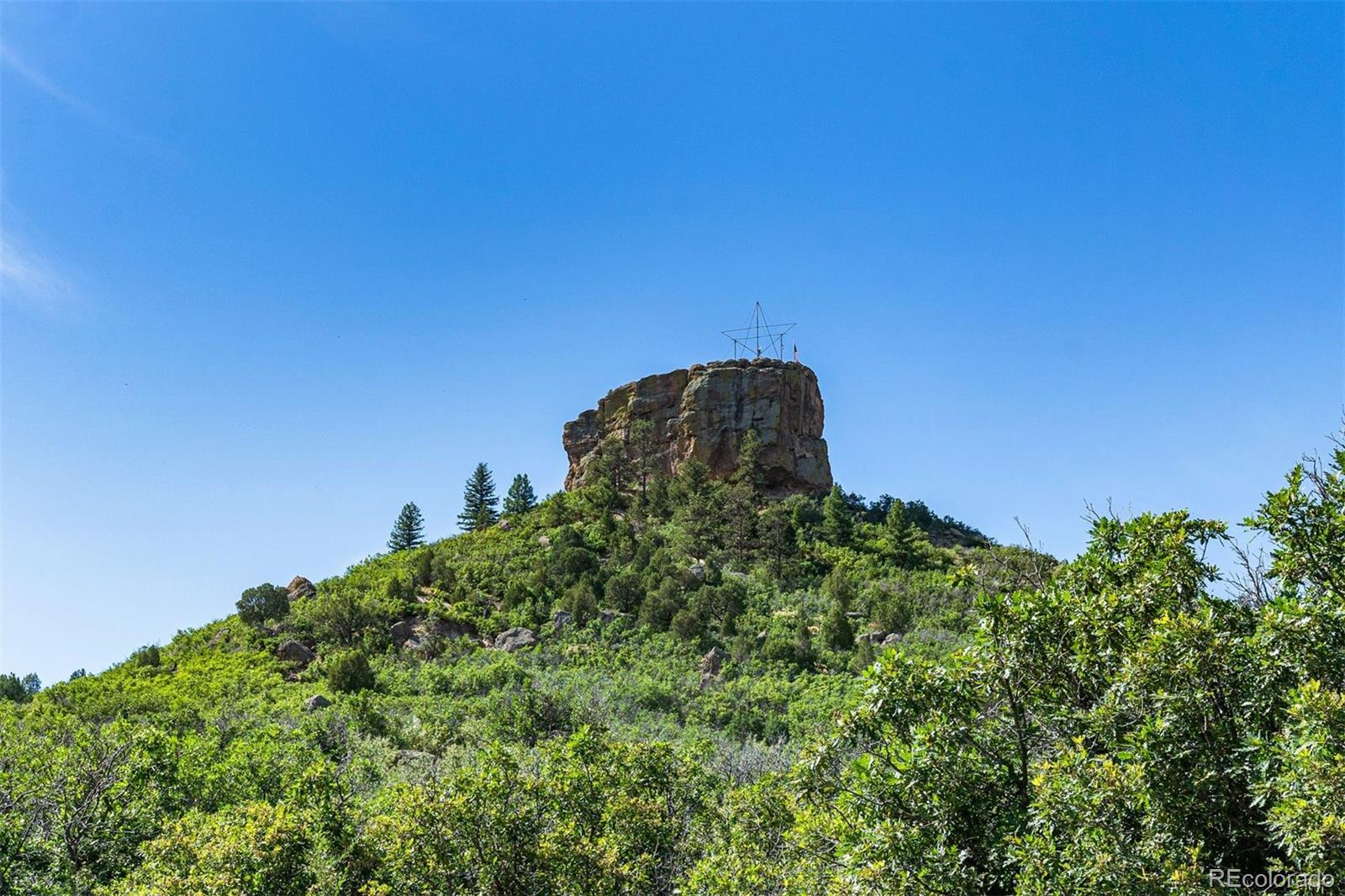 431 Black Feather Loop Unit: 813