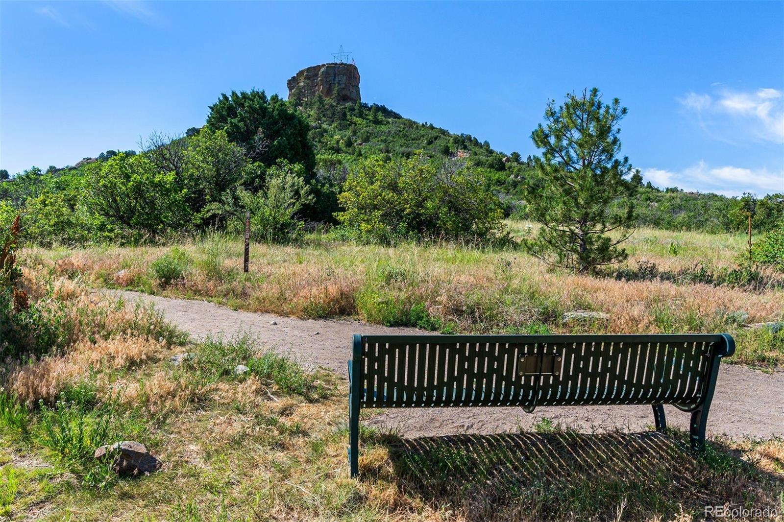 431 Black Feather Loop Unit: 813