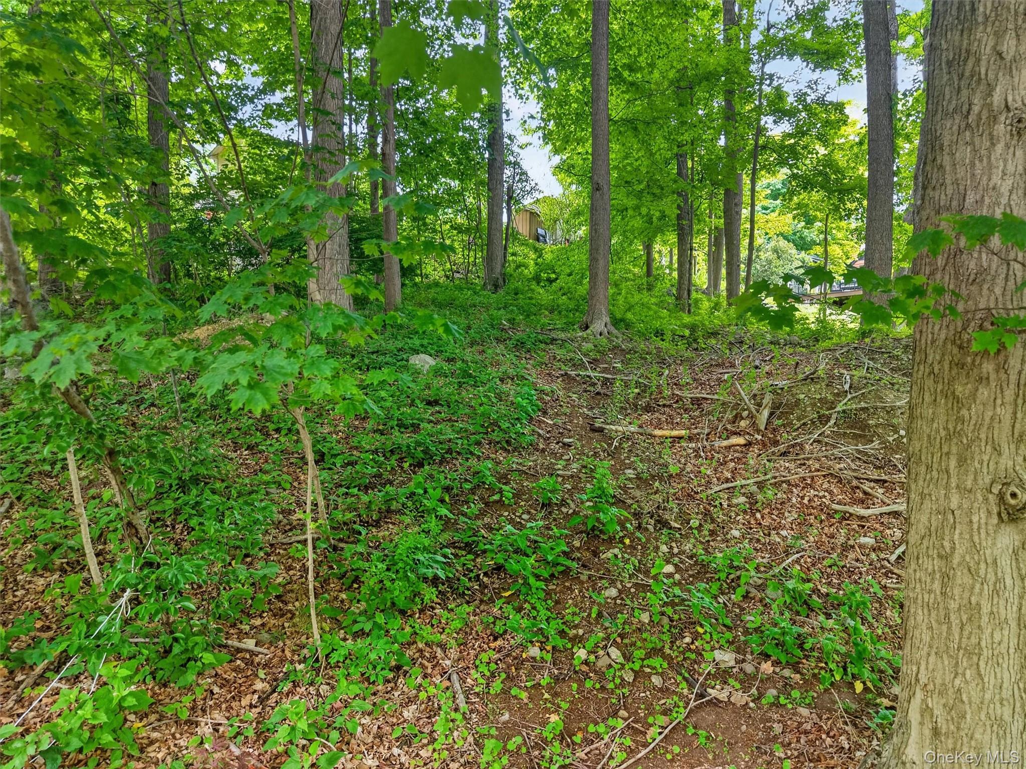 154 Gallows Hill Road