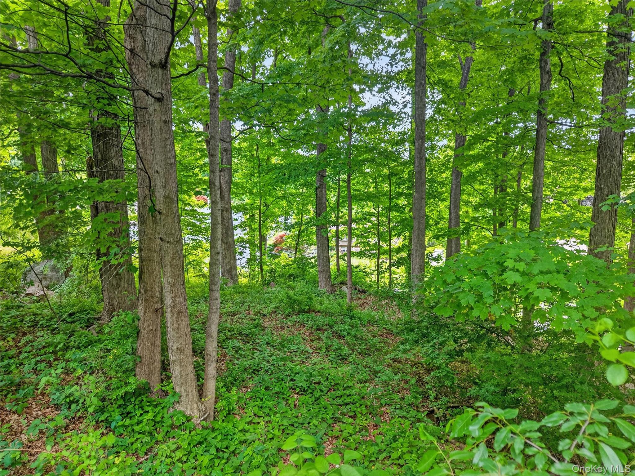154 Gallows Hill Road