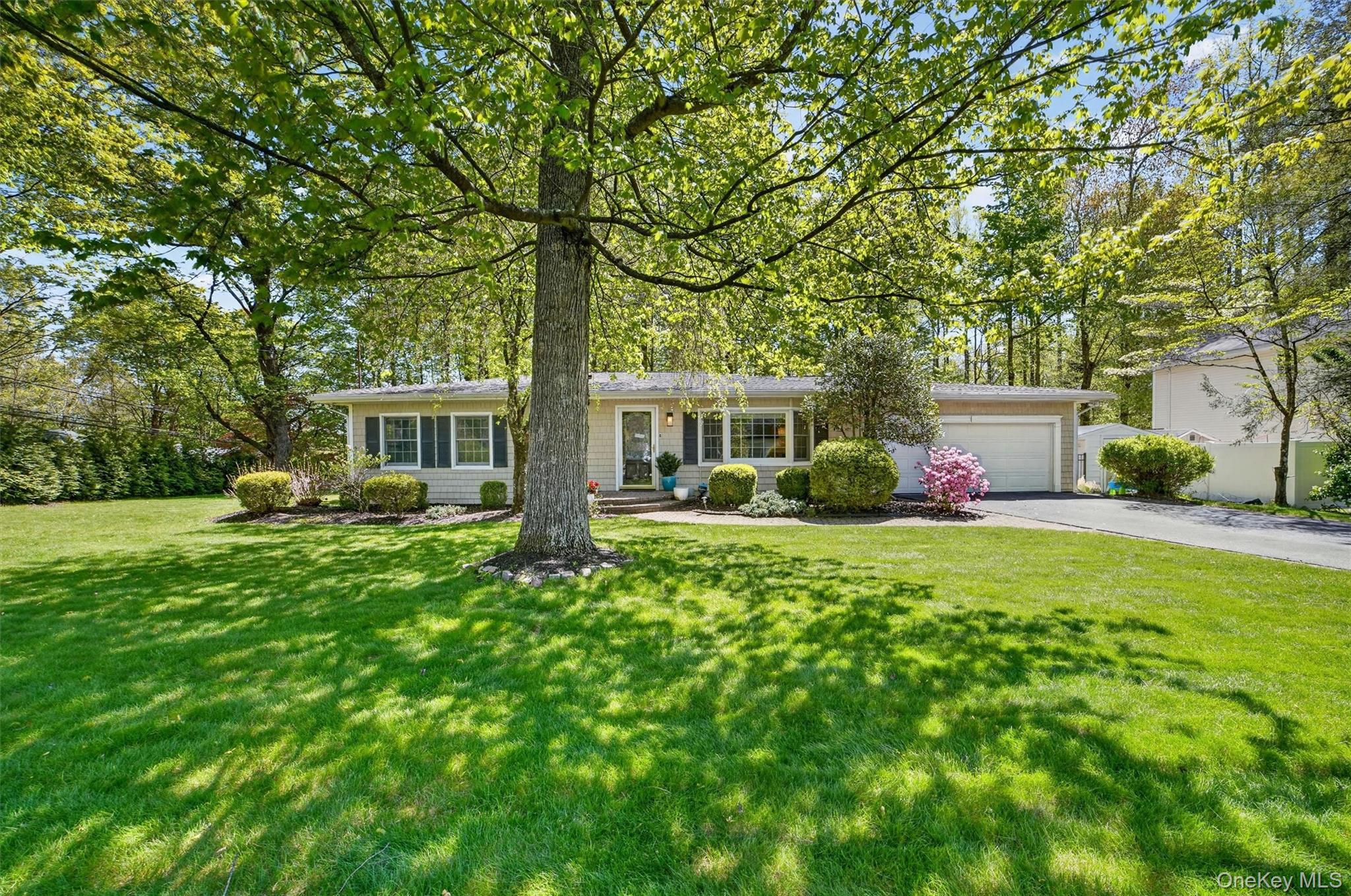 2864 Hedwig Drive