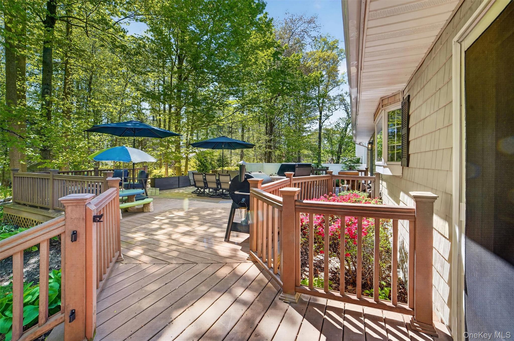 2864 Hedwig Drive