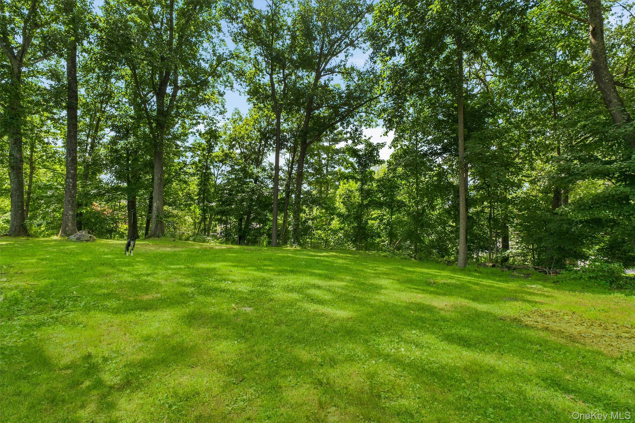 28 Mahopac Avenue