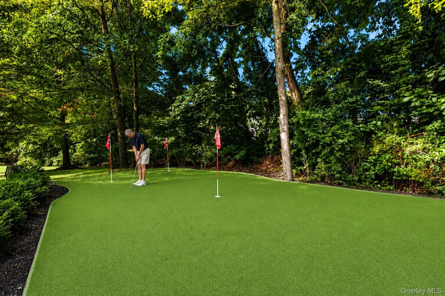 323 Trump Park
