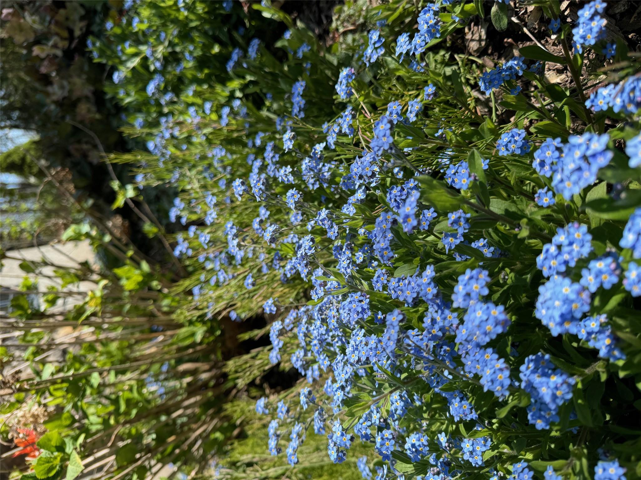 5 Shingle House Road