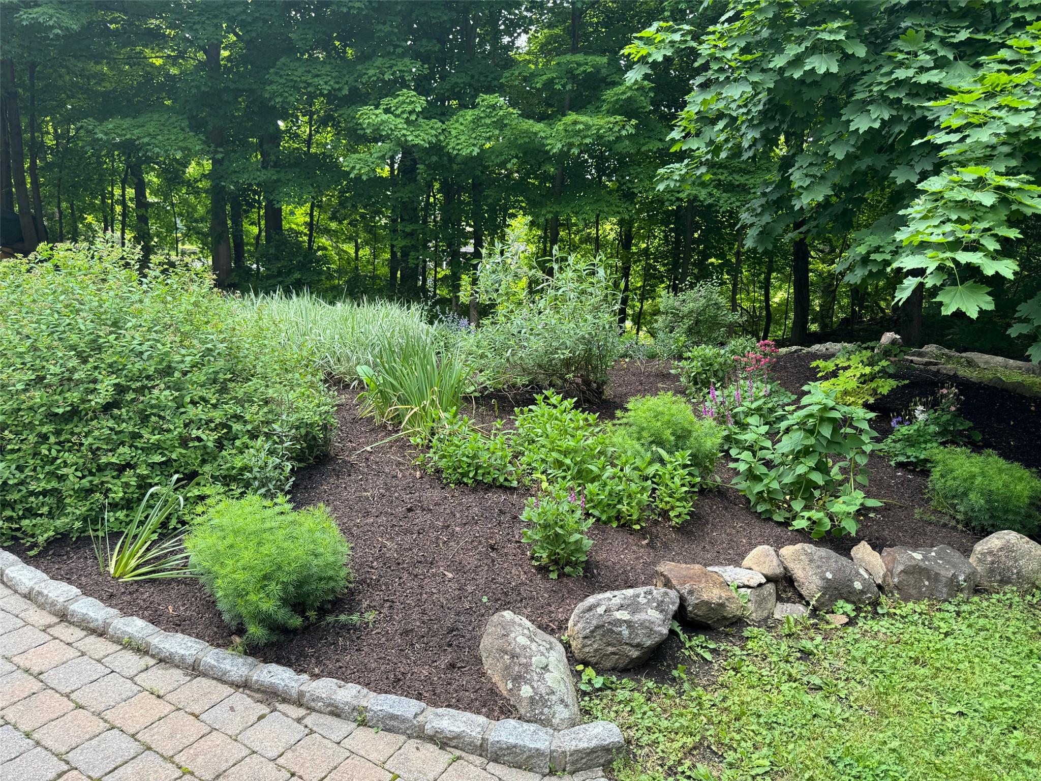 5 Shingle House Road