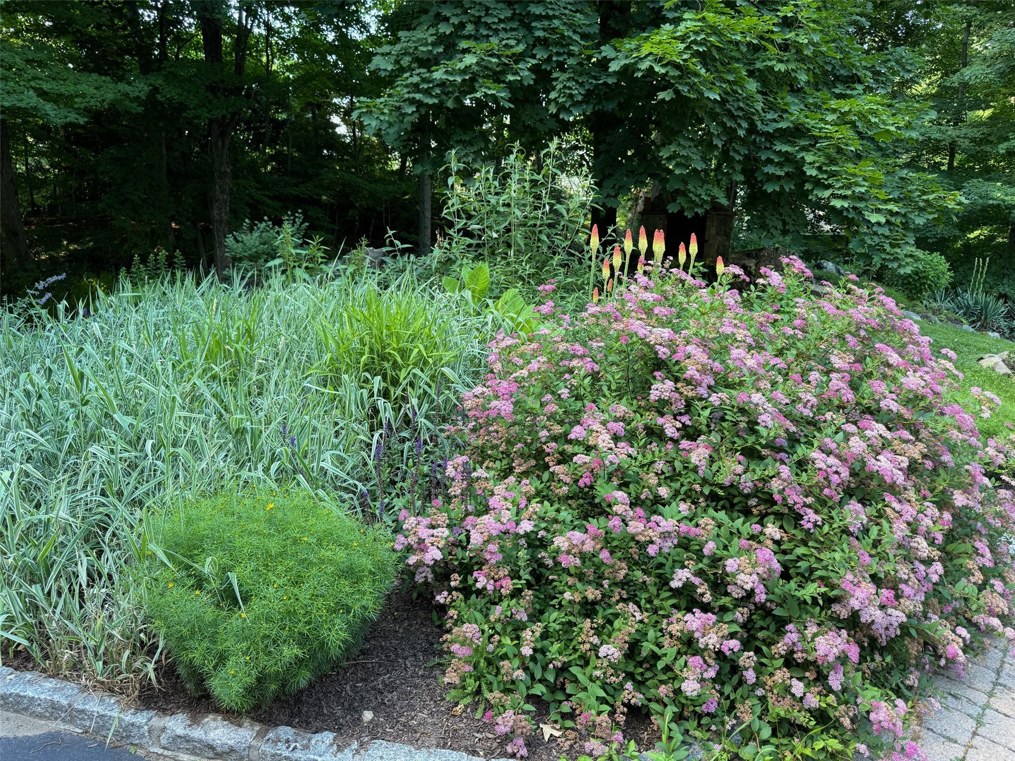 5 Shingle House Road