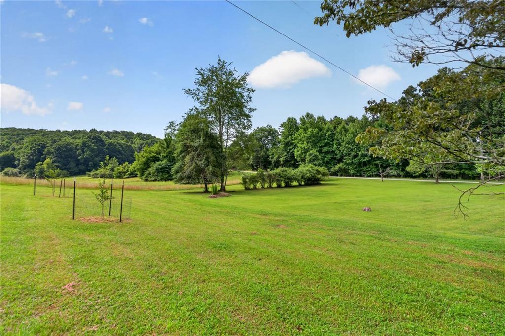 247 Amys Ford Trail