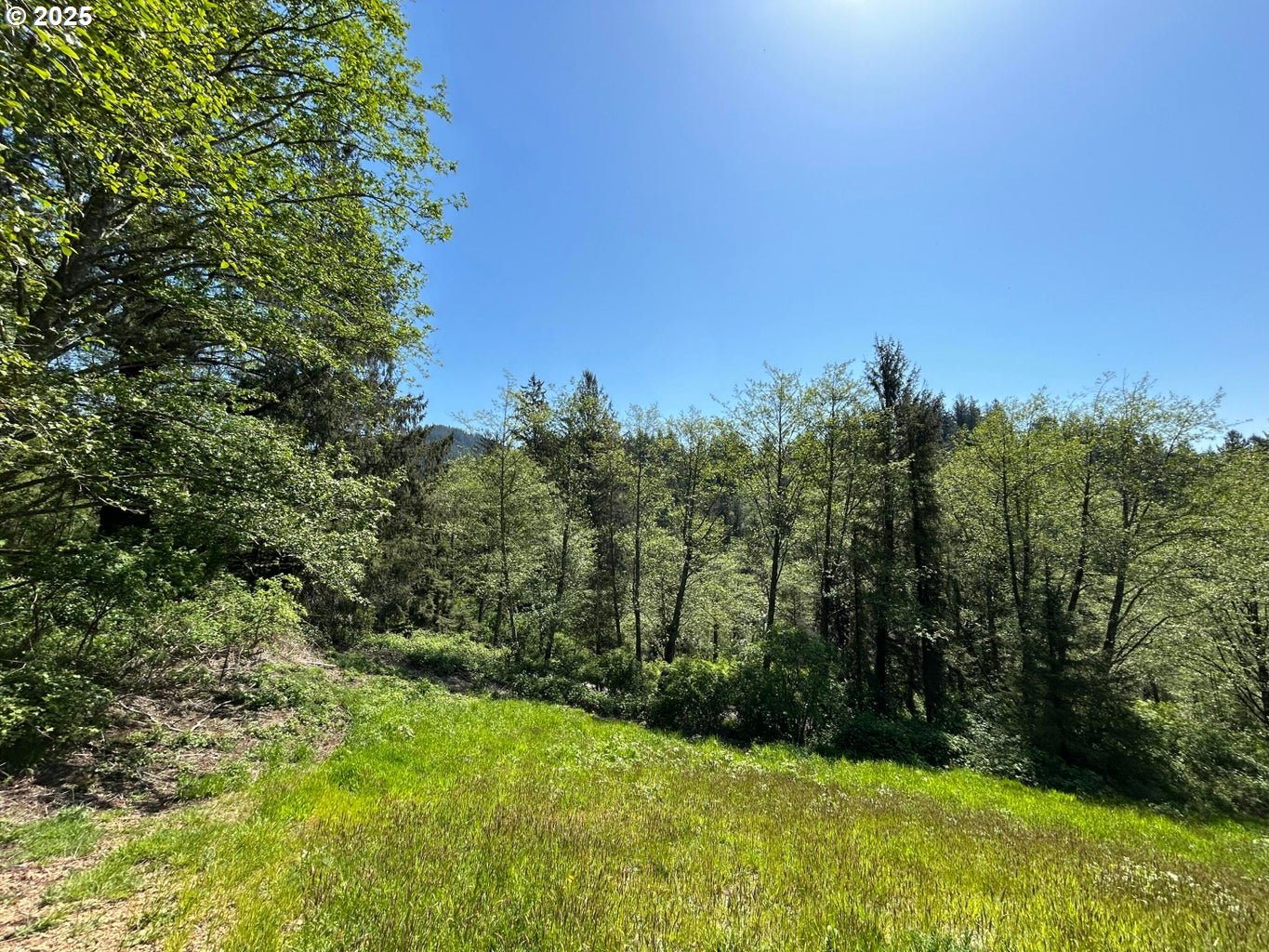 1690 SKYLINE DR