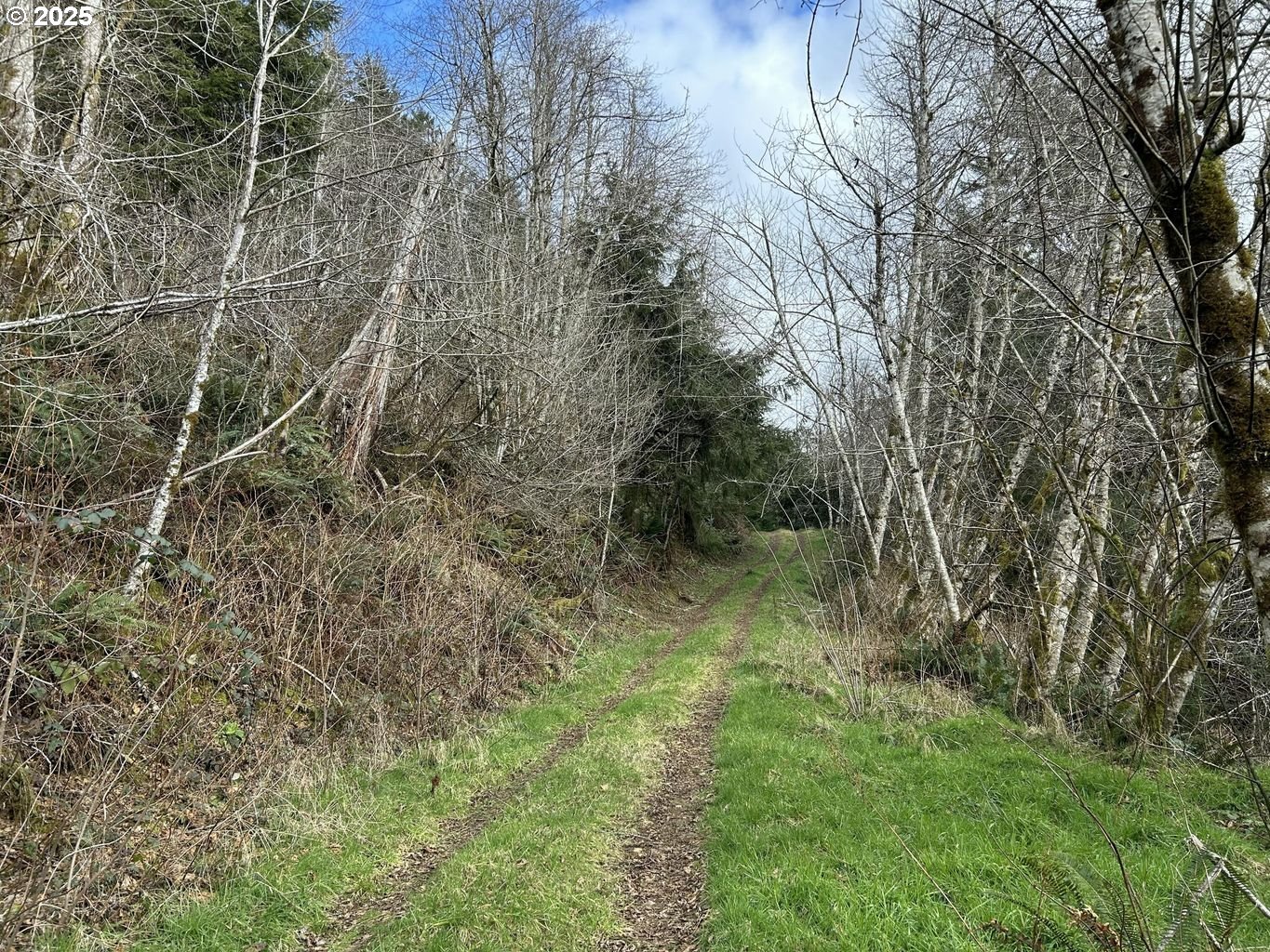 TL201 Lt Nestucca Rr HWY