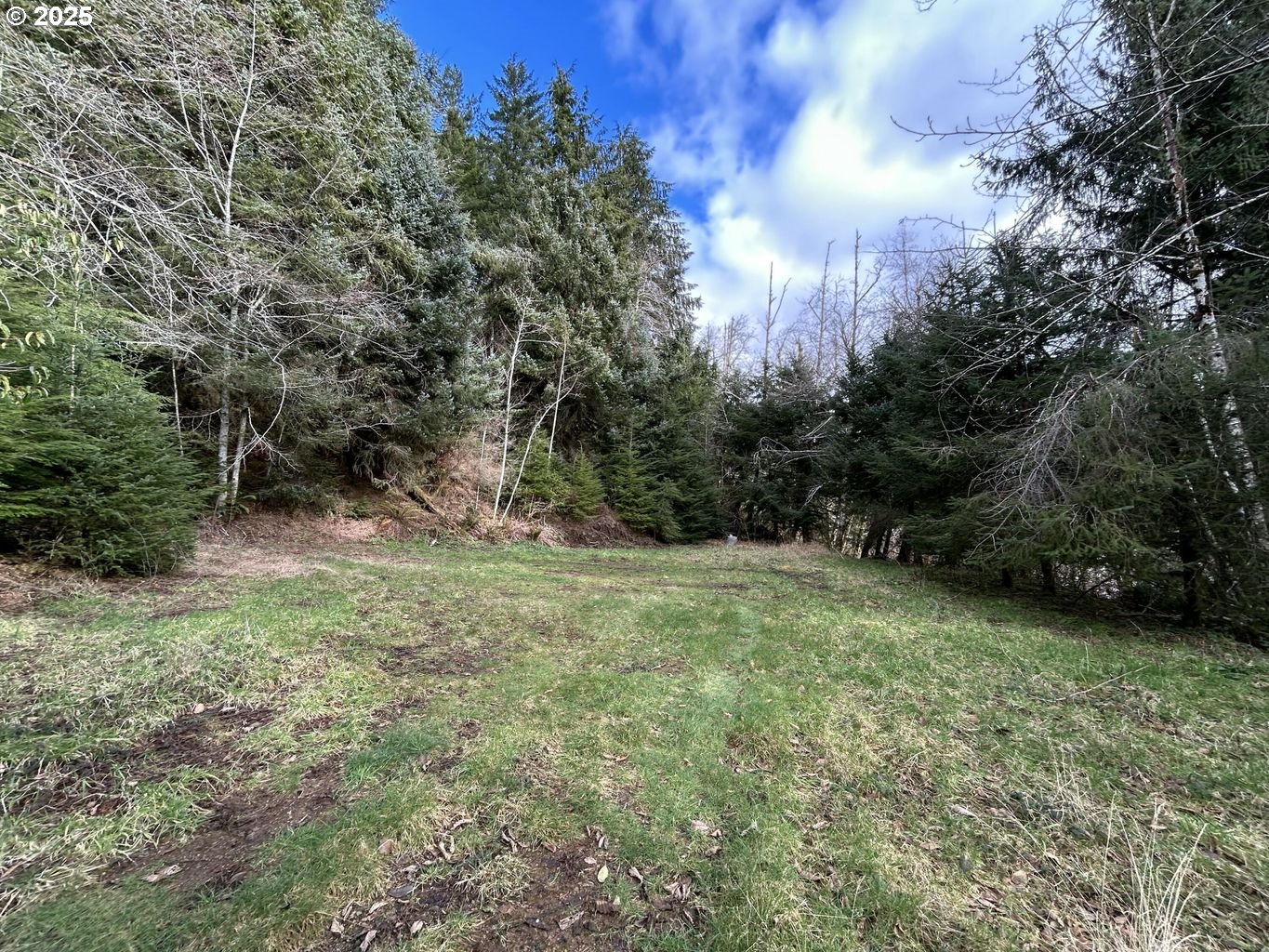 TL201 Lt Nestucca Rr HWY