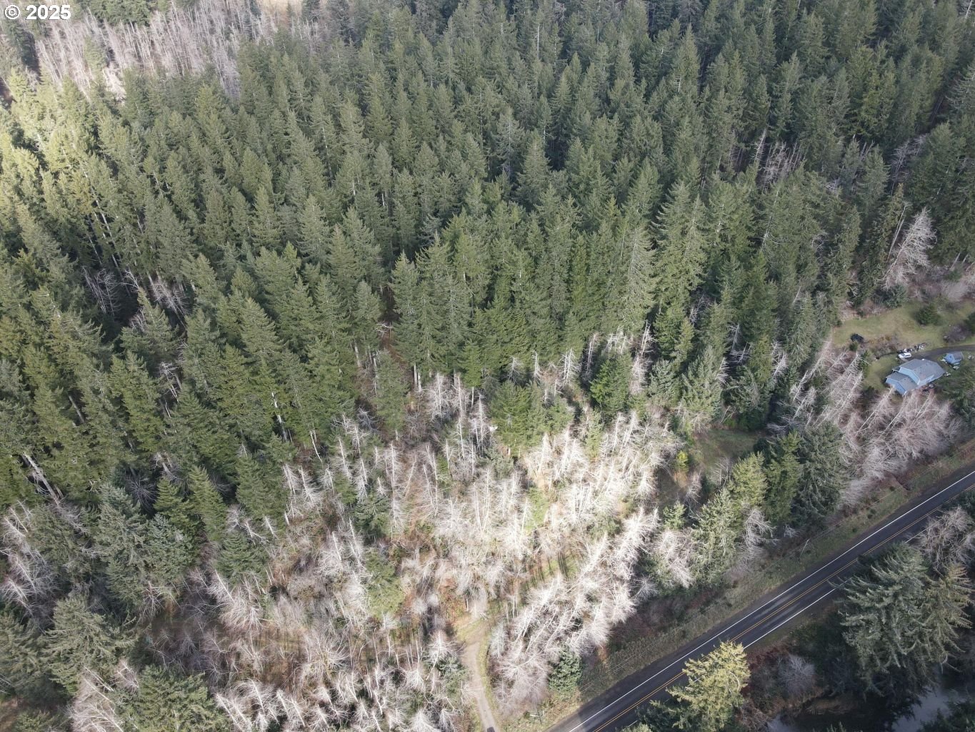TL201 Lt Nestucca Rr HWY