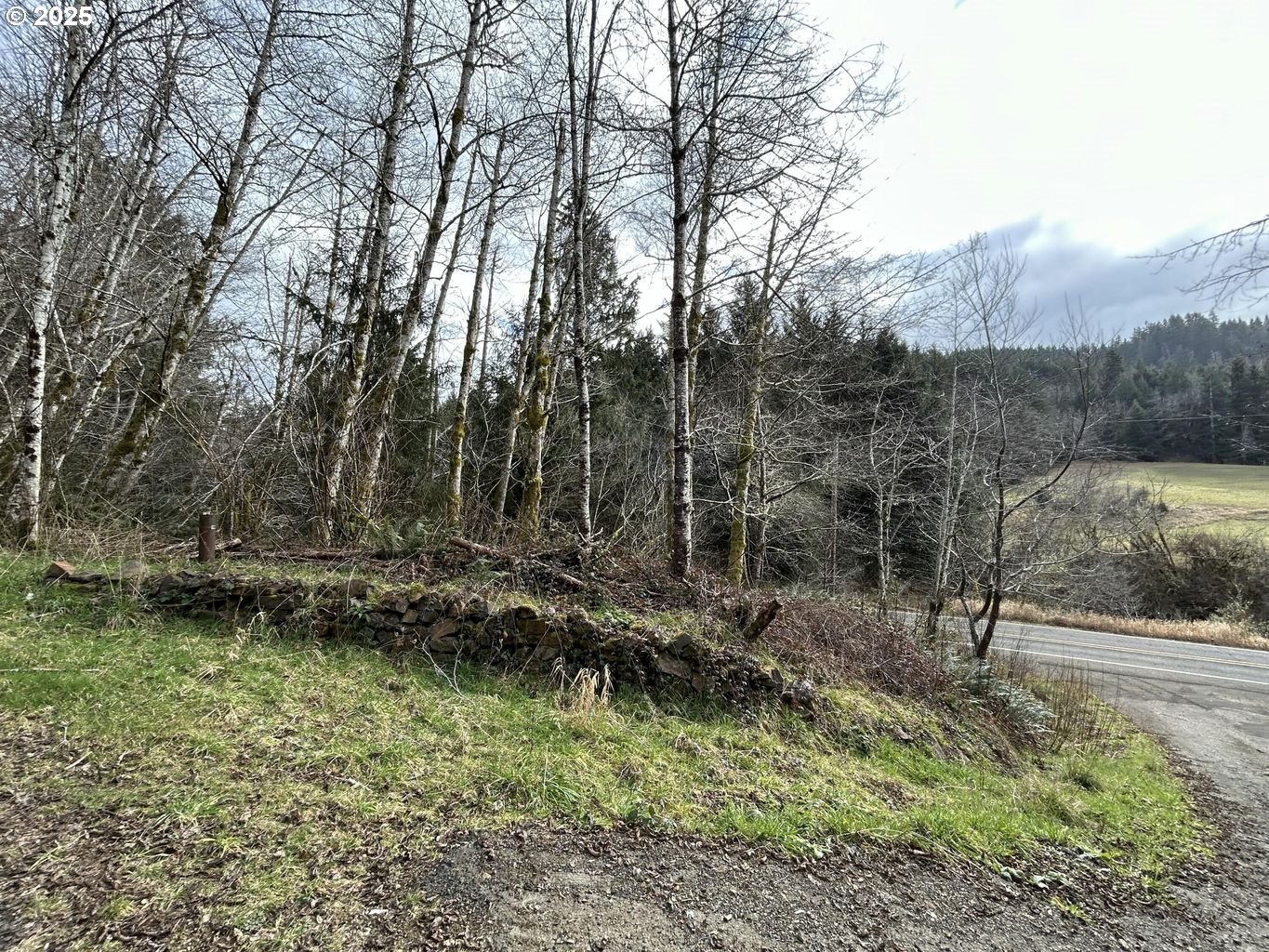TL201 Lt Nestucca Rr HWY