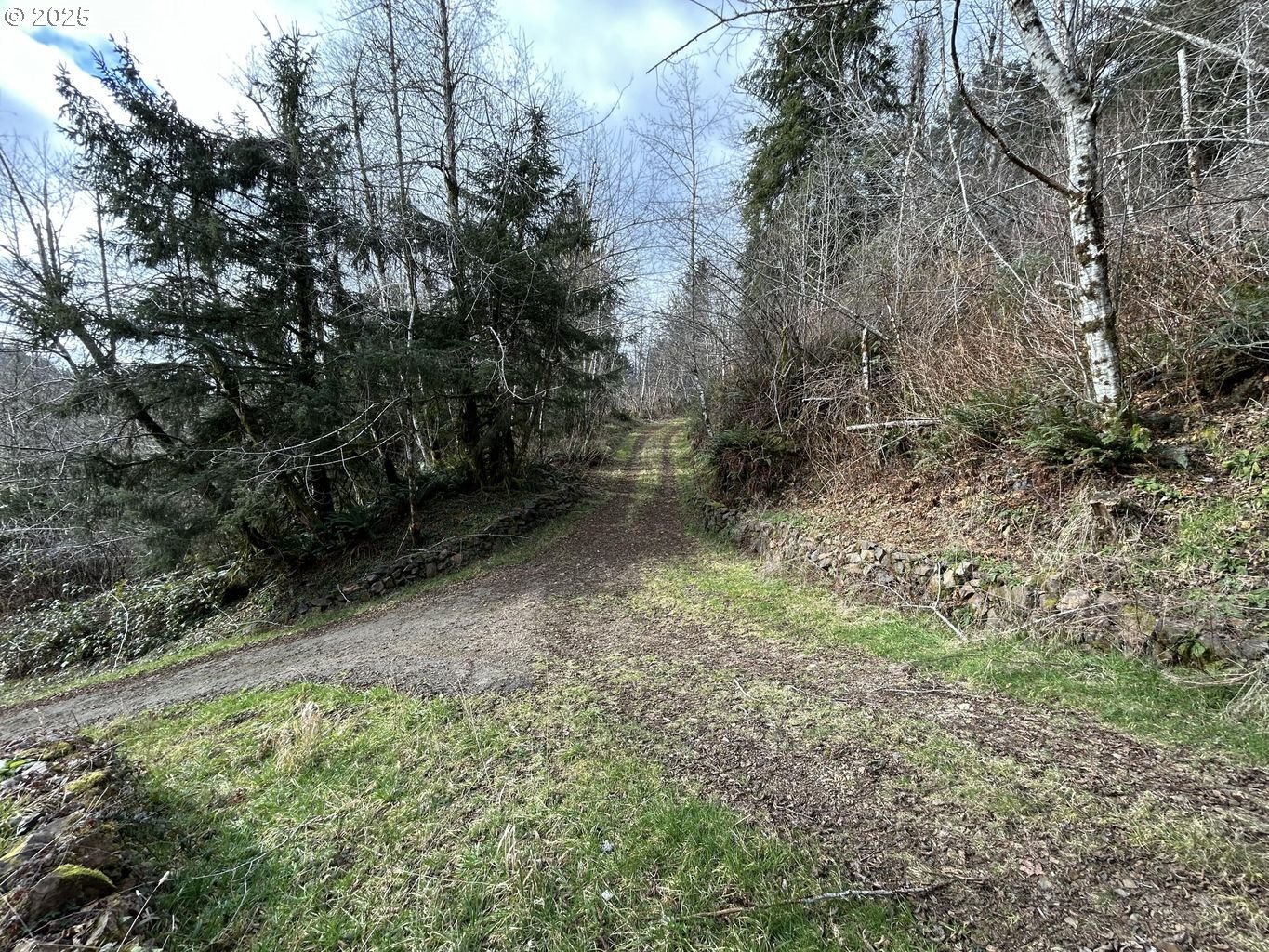 TL201 Lt Nestucca Rr HWY