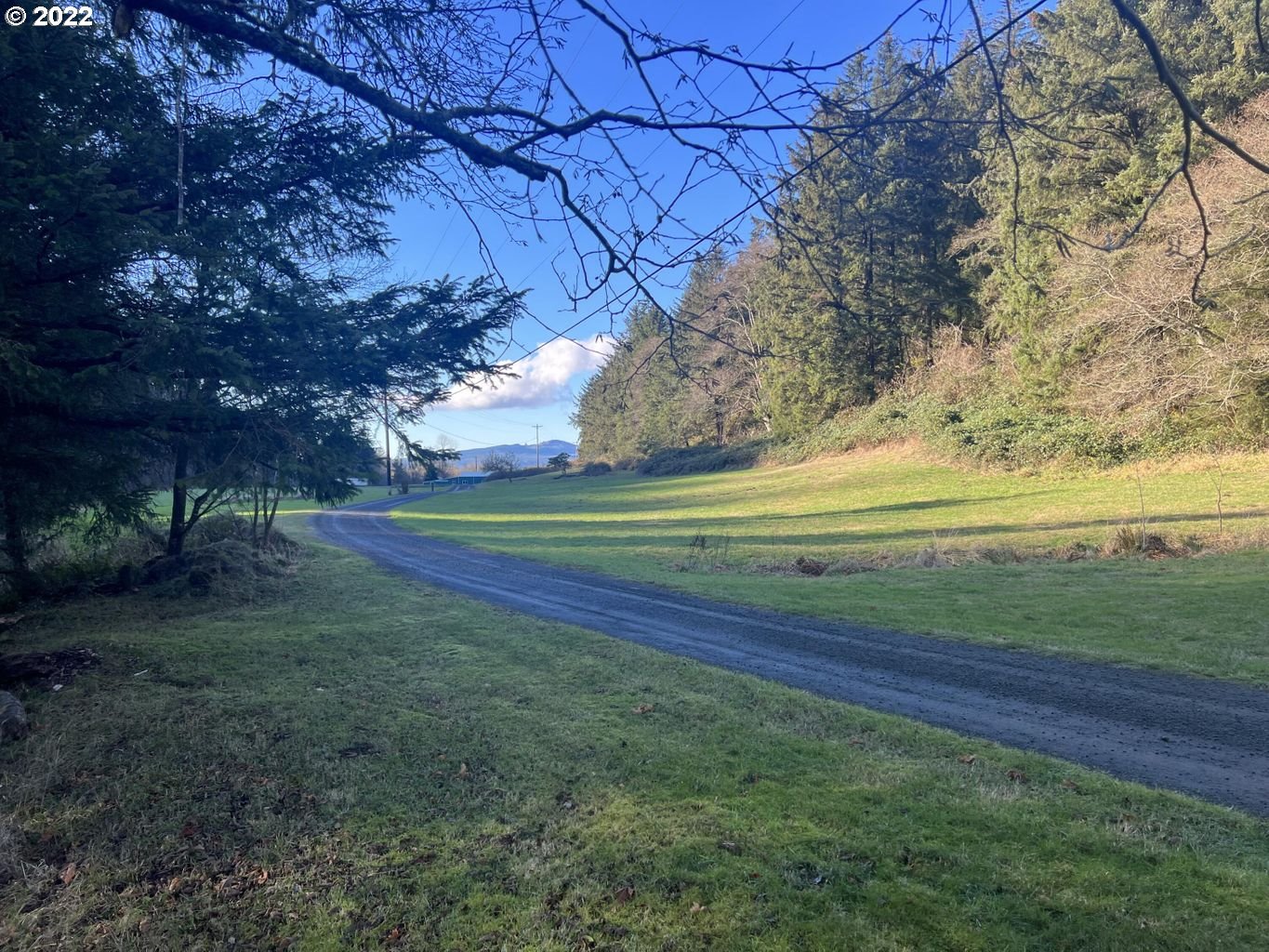 11100 SOLLIE SMITH RD