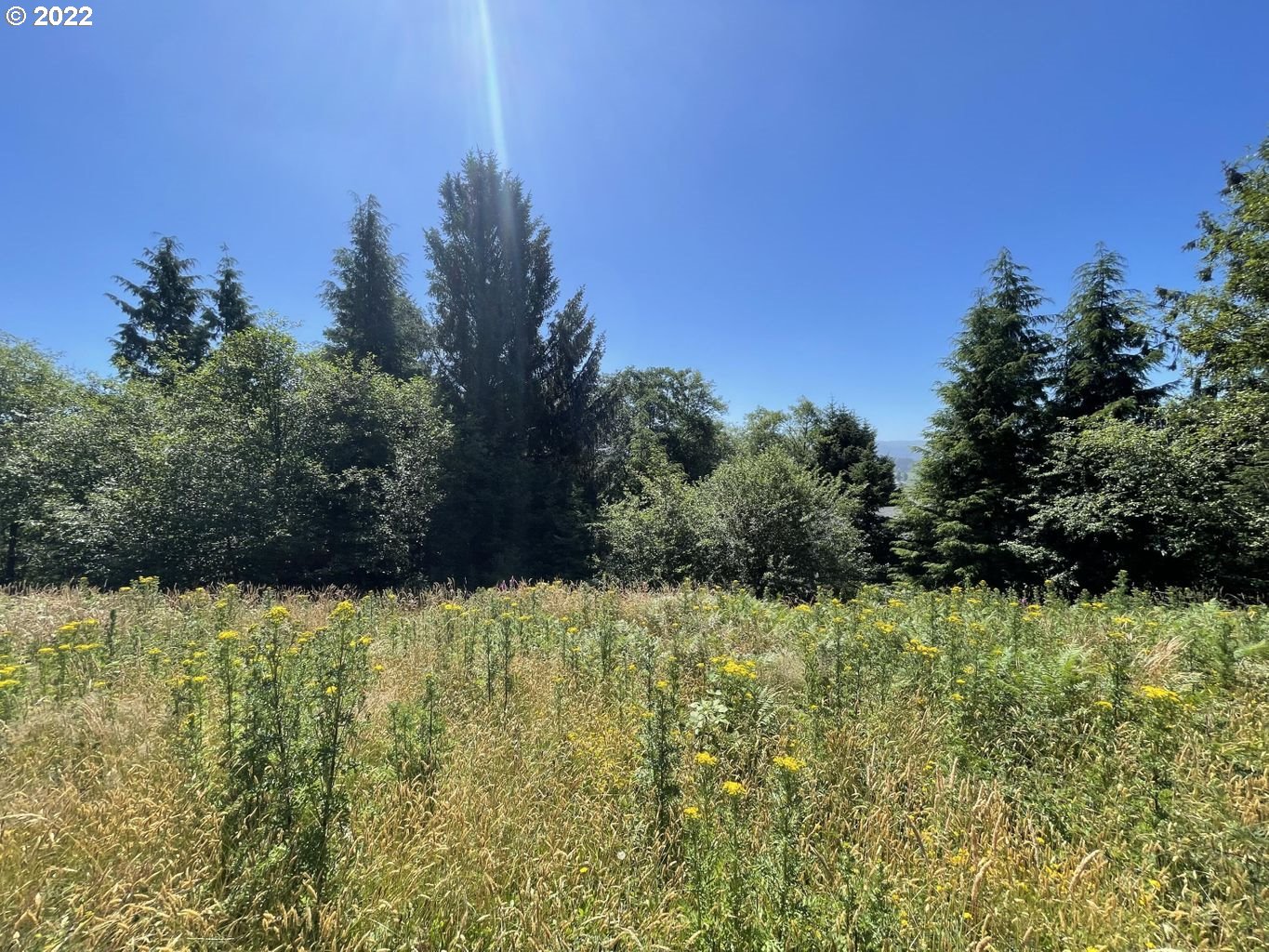 Westwood DR 2801