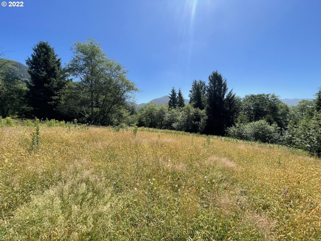 Westwood DR 2801