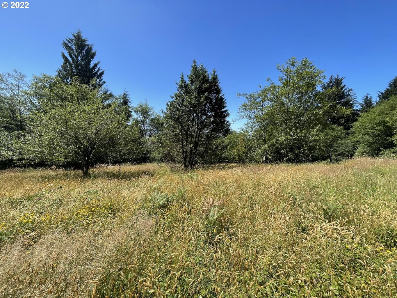 Westwood DR 2801