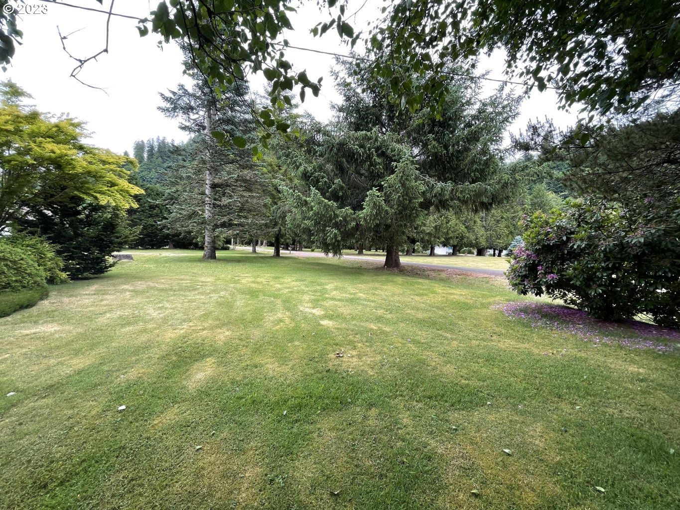 24695 RIVER BEND RD