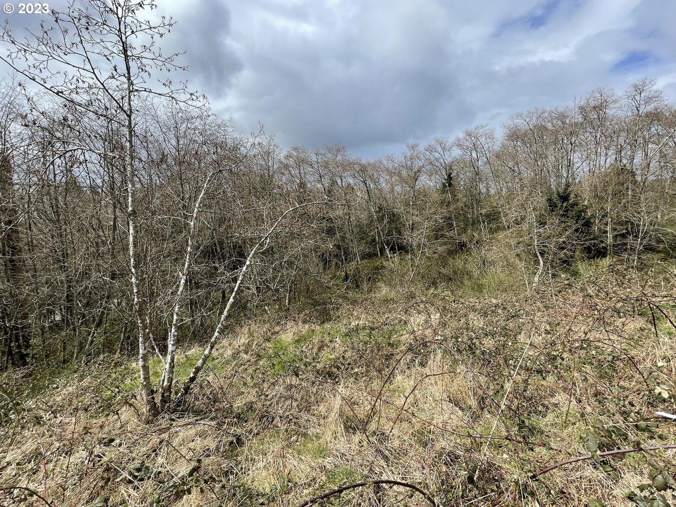 Lot 19 North Ridge DR