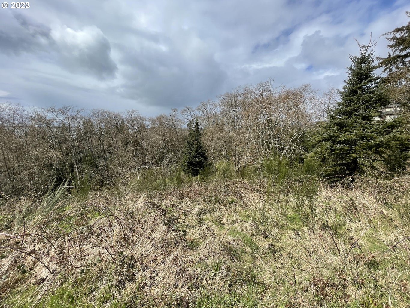 Lot 19 North Ridge DR