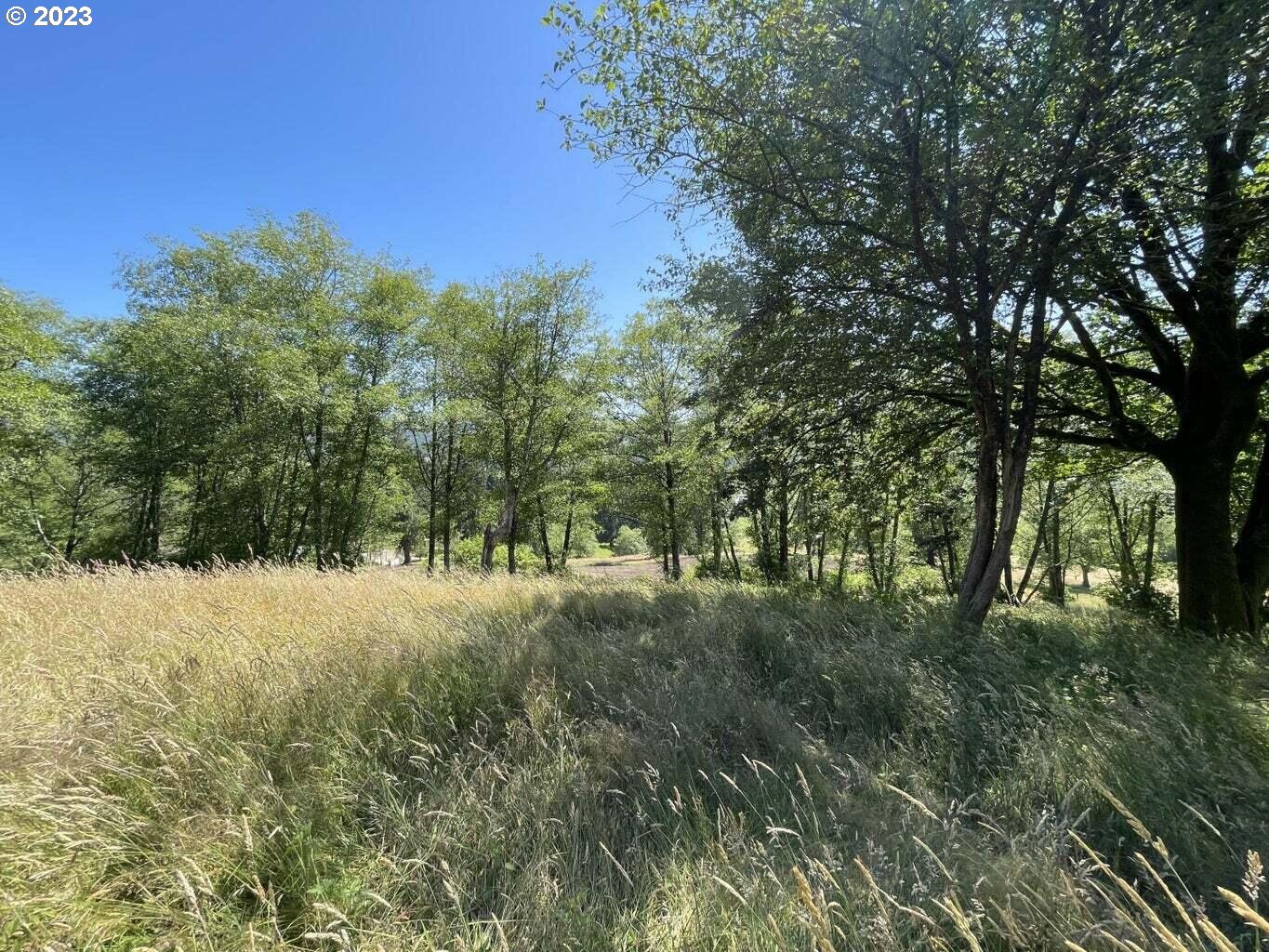 Lot 34 Wapiti Way
