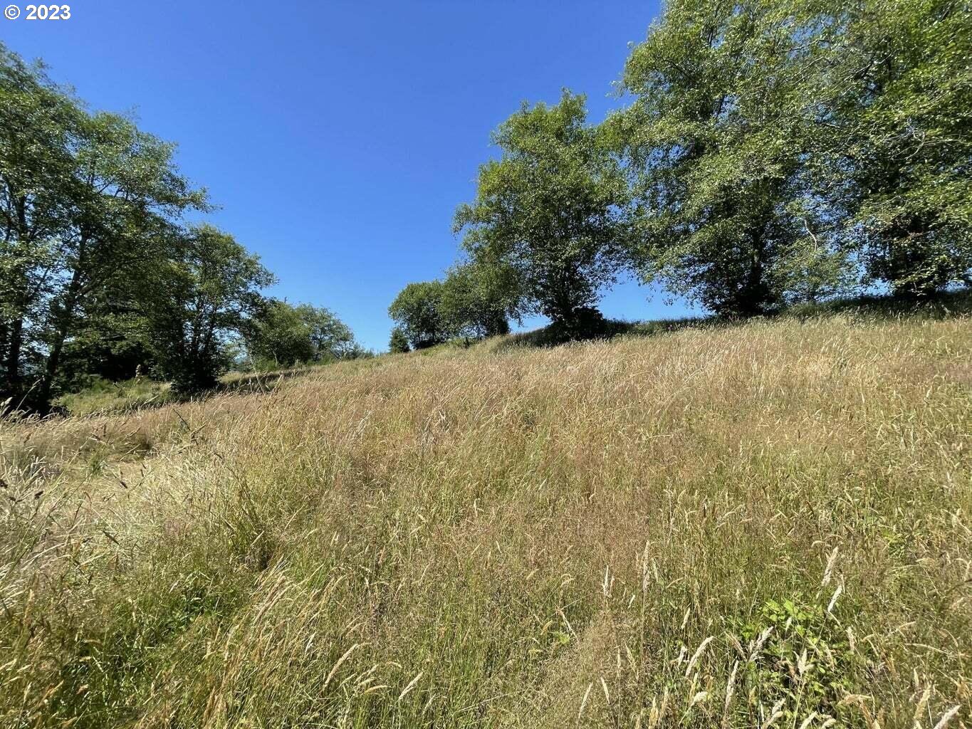 Lot 34 Wapiti Way