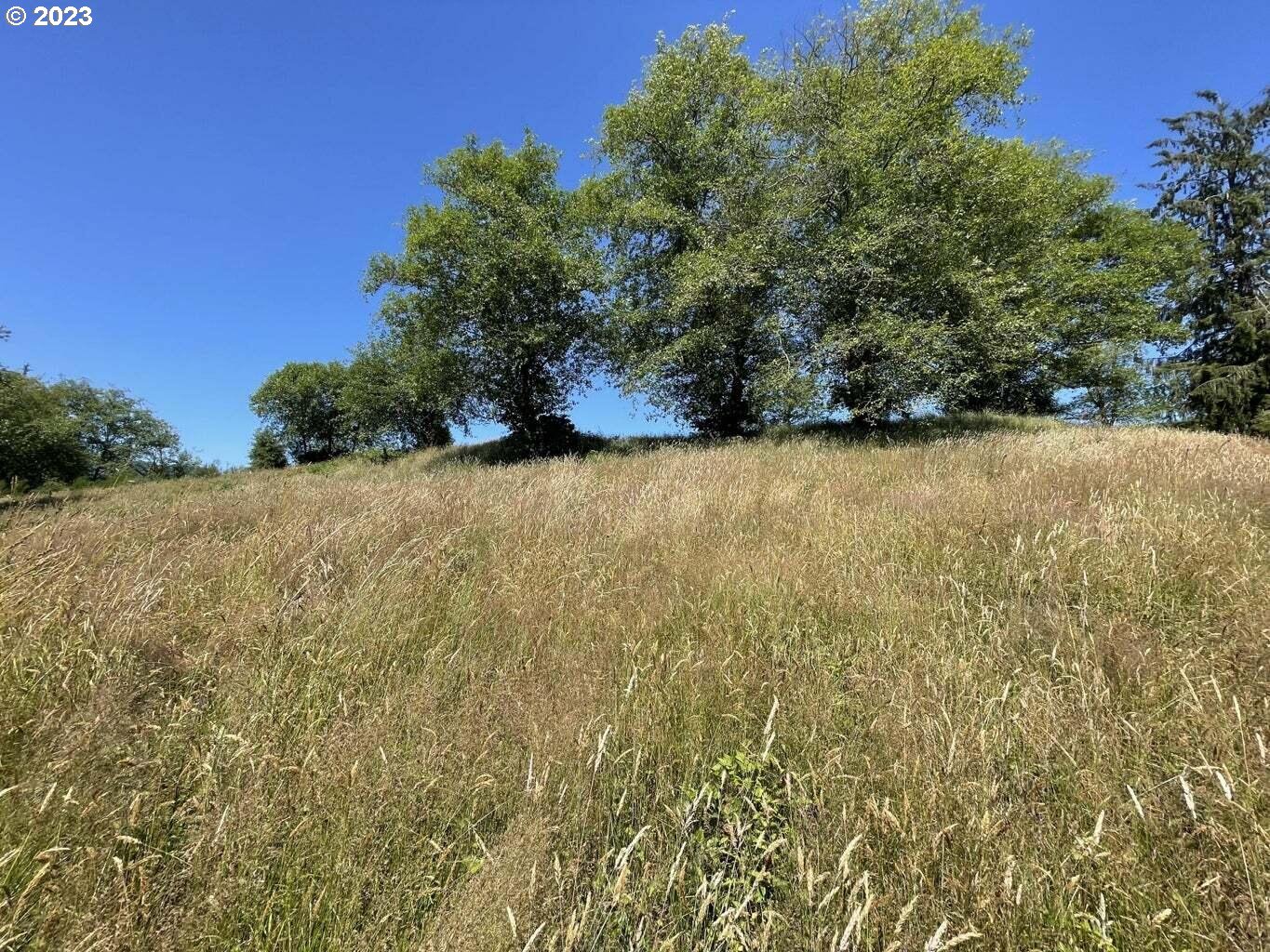 Lot 34 Wapiti Way
