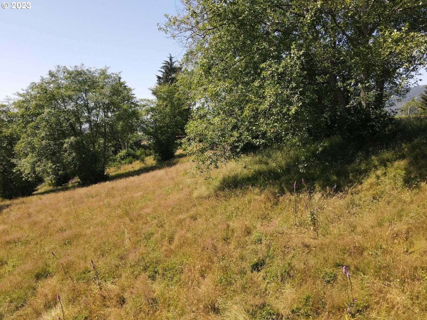 Lot 34 Wapiti Way