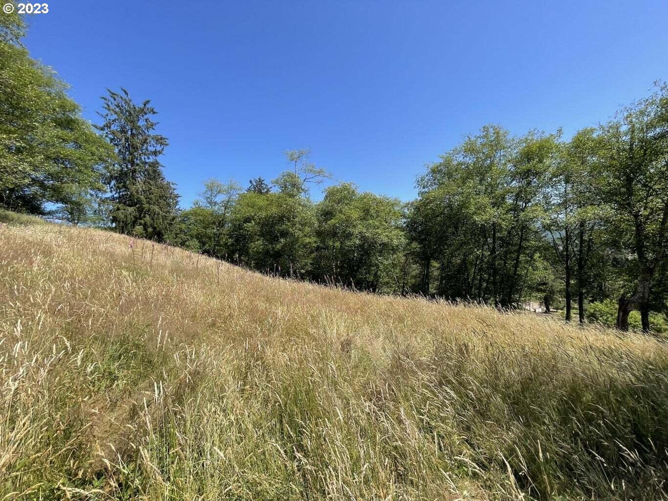 Lot 34 Wapiti Way