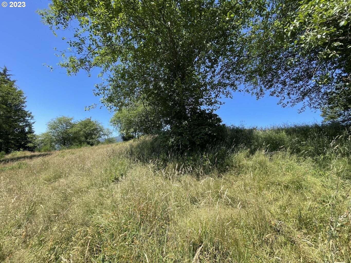 Lot 34 Wapiti Way
