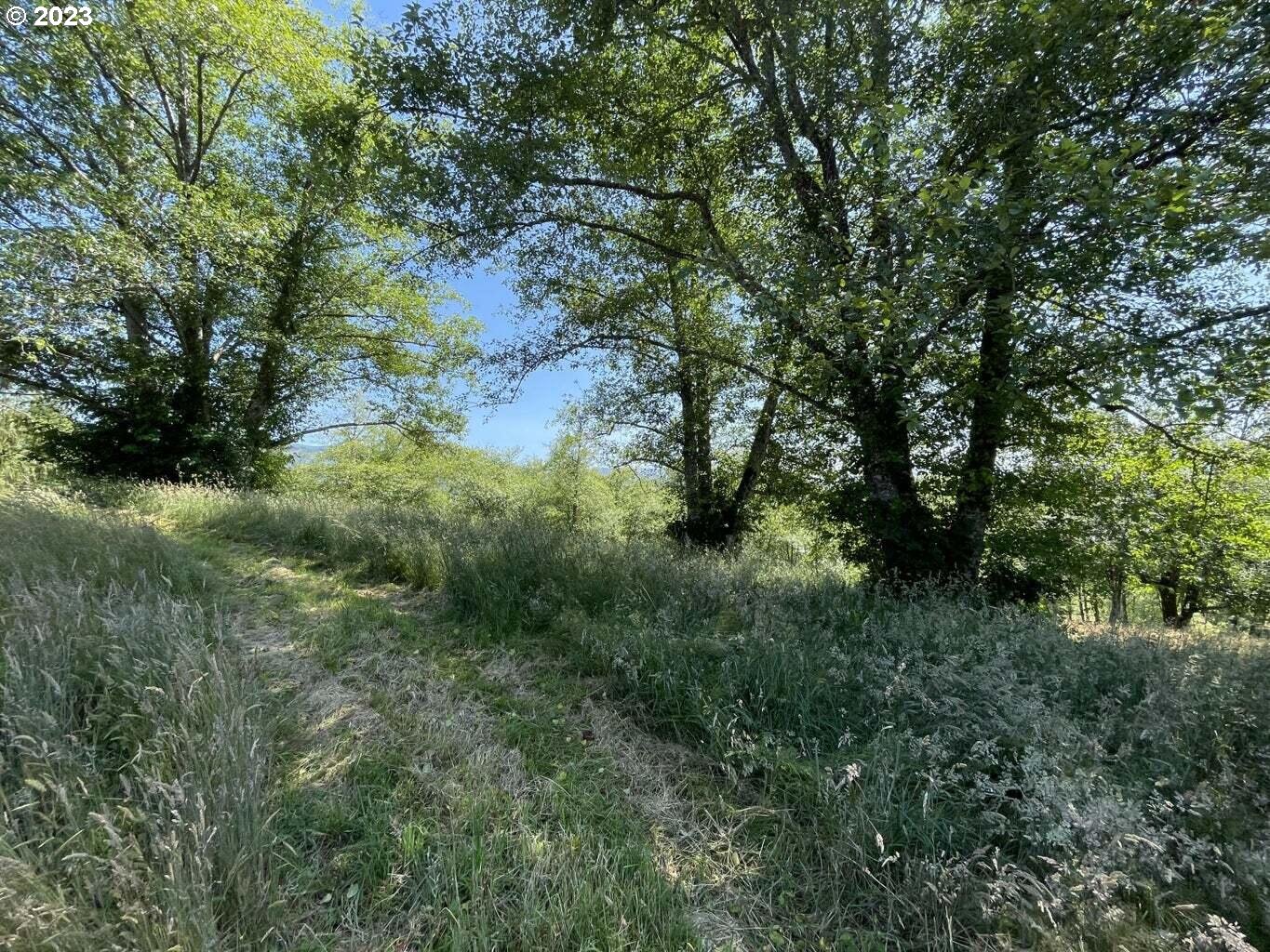 Lot 34 Wapiti Way