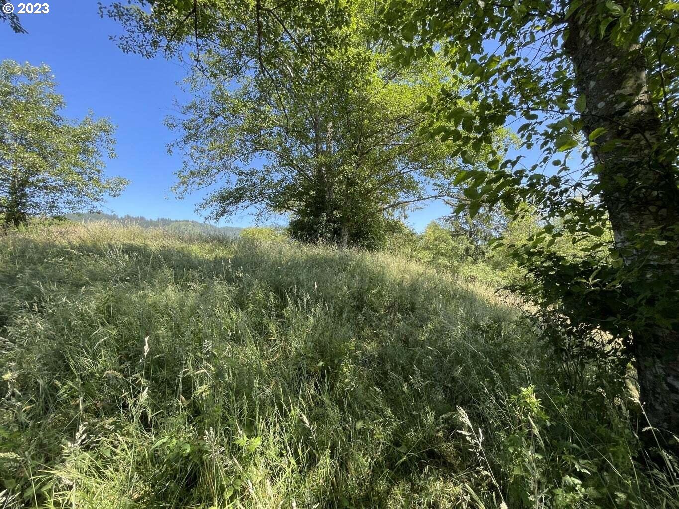 Lot 34 Wapiti Way