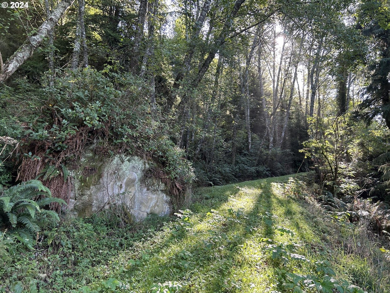 TL 900 Highway 101 N